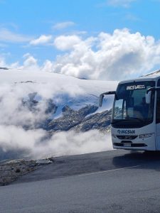 busss55
